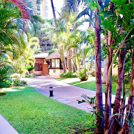 - Alicate Beachfront Apartment-9 Appartement *