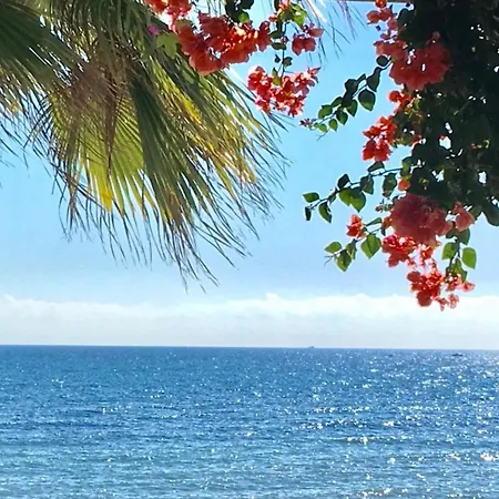 Appartement - Alicate Beachfront Apartment-9 *