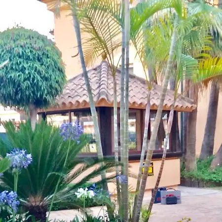 Apartment - Alicate Beachfront Apartment-9 Marbella