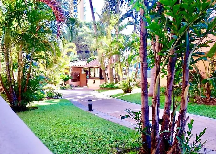 - Alicate Beachfront Apartment-9 Apartamento *