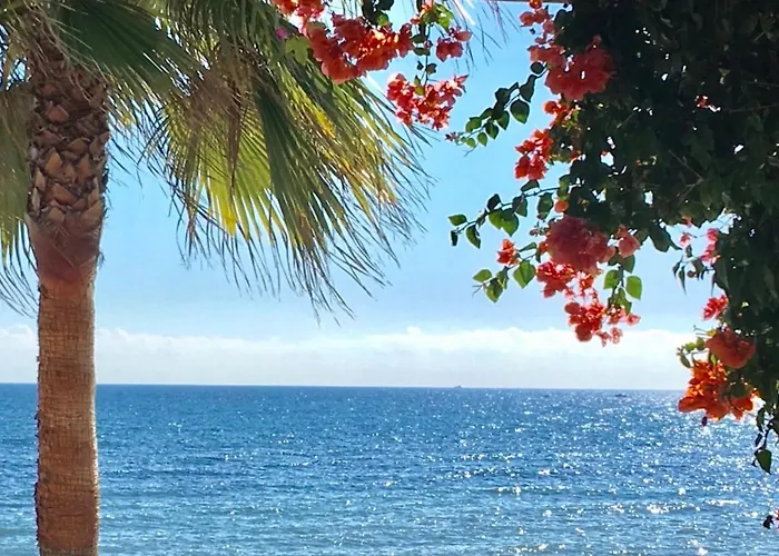 Apartamento - Alicate Beachfront Apartment-9 *