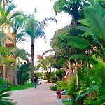 - Alicate Beachfront Apartment-9 Apartmán Marbella