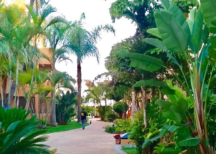 - Alicate Beachfront Apartment-9 Appartement Marbellac